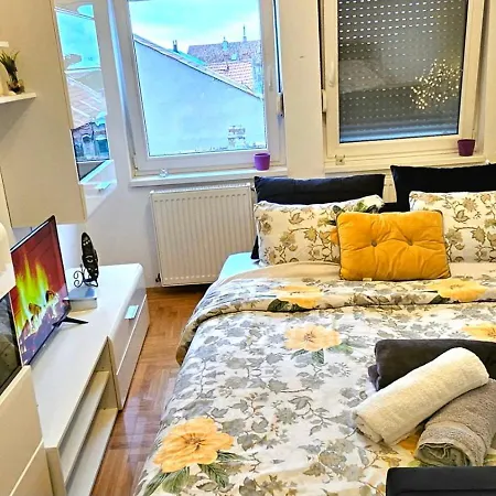 Apartment Sova