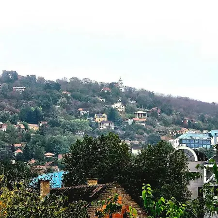 Sova Apartment